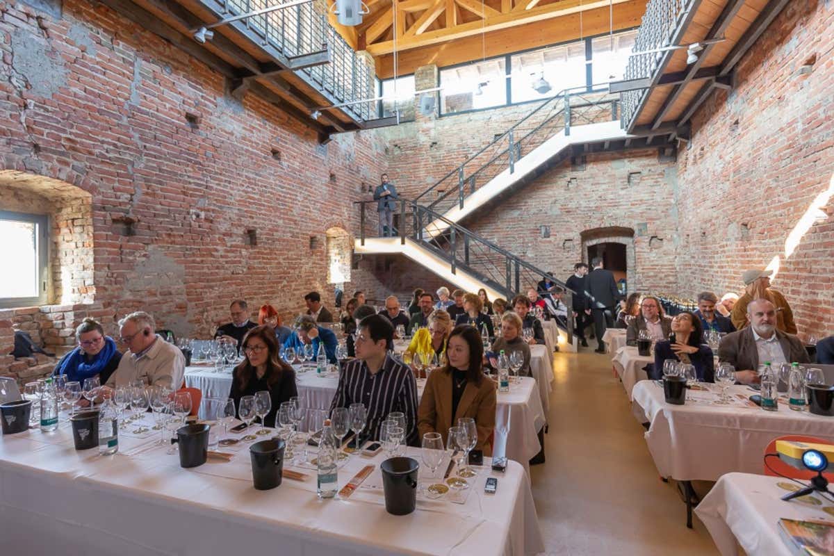 Anteprima del Timorasso: l'annata 2022 fresca e vivace