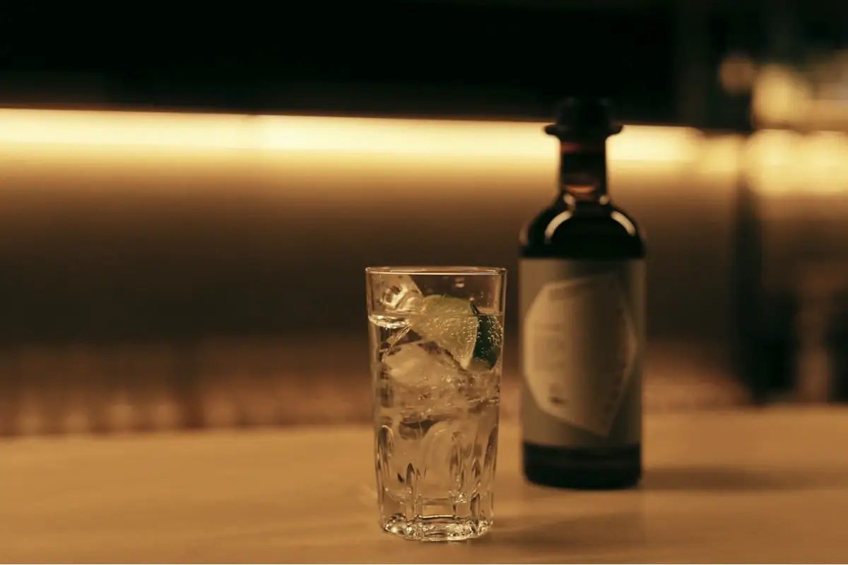 Tokyo &egrave; la capitale del gin artigianale