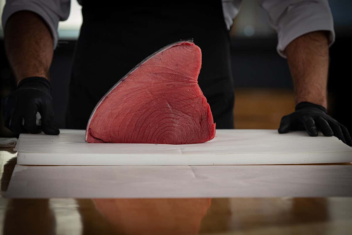 Tonno rosso Fuentes Longino