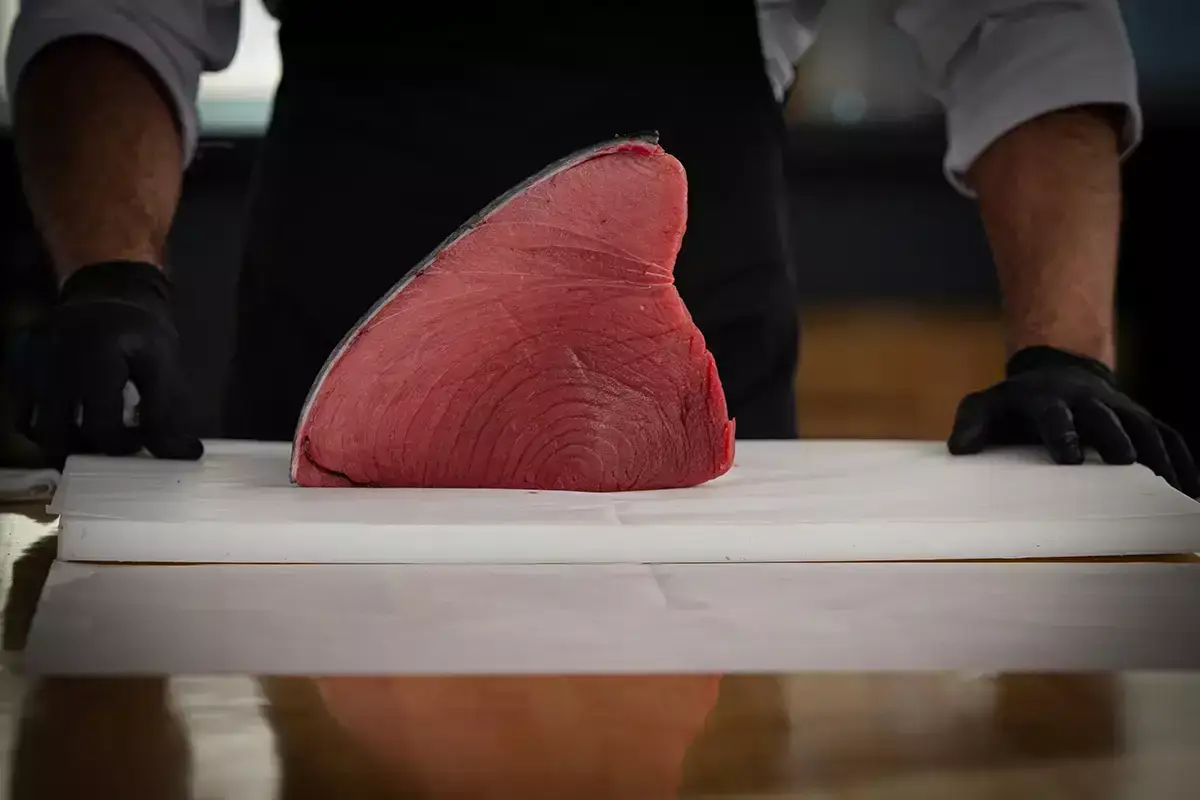 El At&ugrave;n Rojo Fuentes Longino