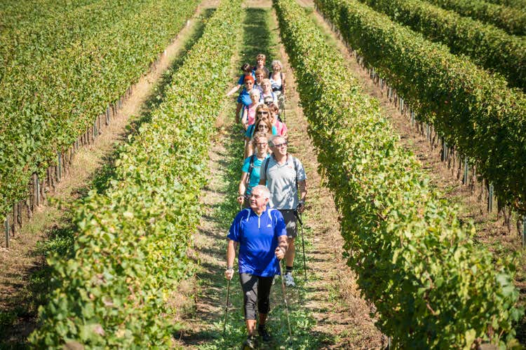 Torna il Festival Franciacorta in cantina E la denominazione festeggia i 50 anni