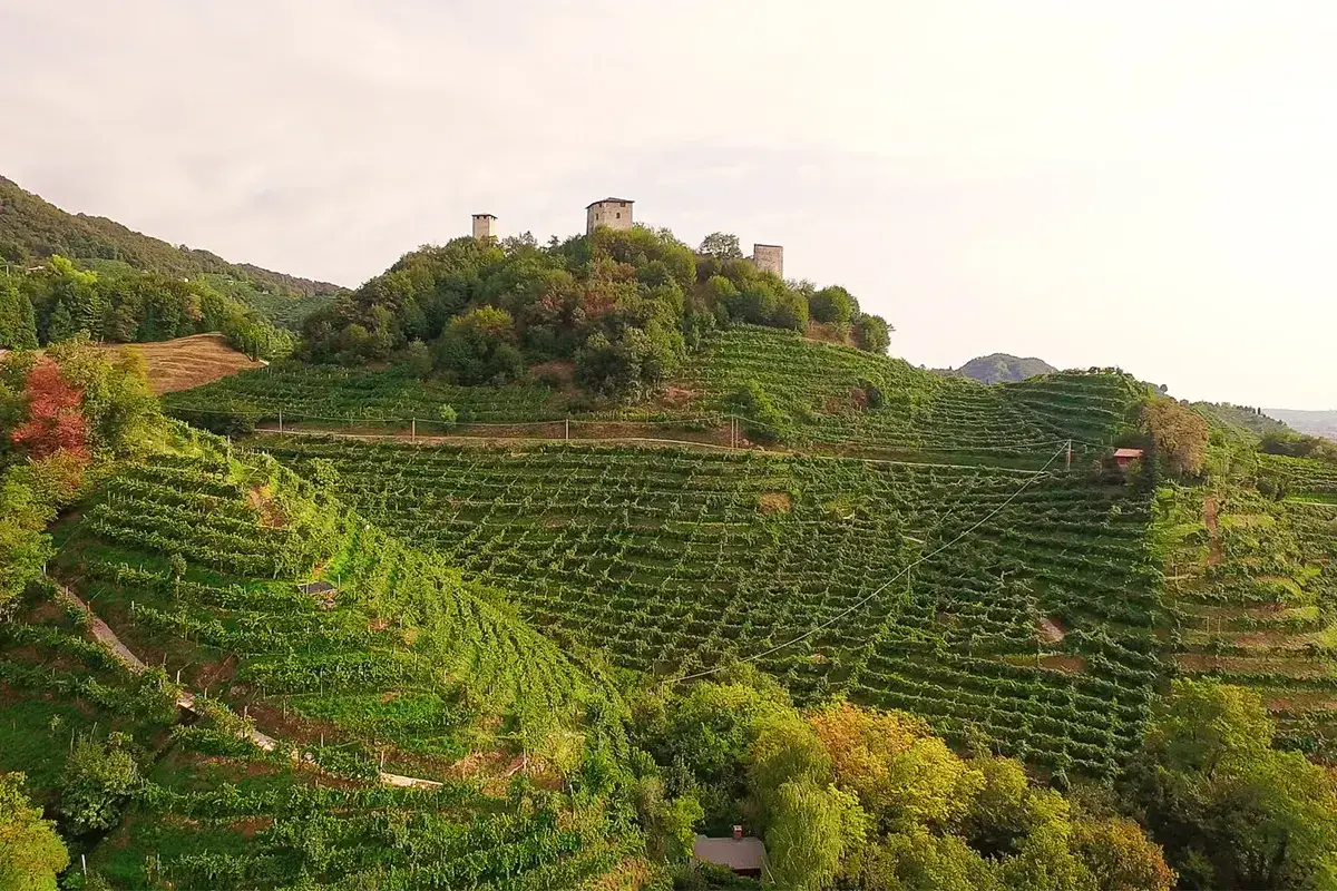 Vigneti intorno alle Torri di Credazzo Follador Prosecco, evento open airL'obiettivo, far vivere le colline