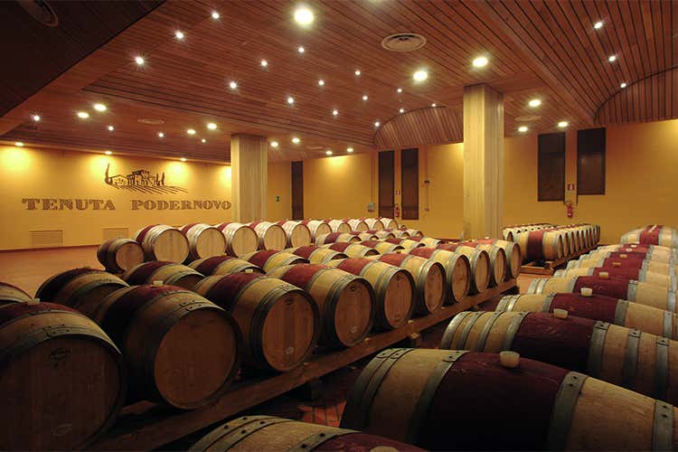 La Toscana secondo i Lunelli  Podernovo &egrave; vino, natura e buona cucina