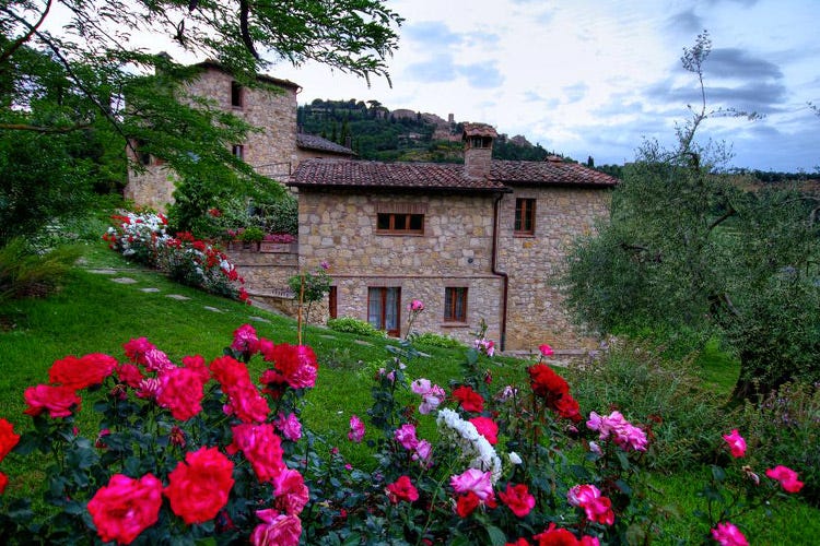 (Toscana tra natura e tipicità all'Agriturismo Ardene di Montepulciano)