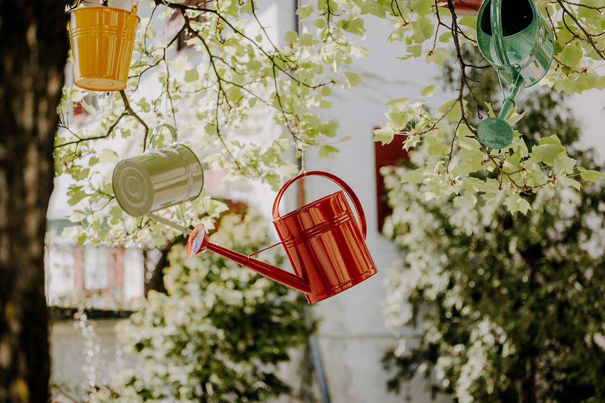 La primavera altoatesina esplode di colori: un tuffo nelle fioriture più belle
