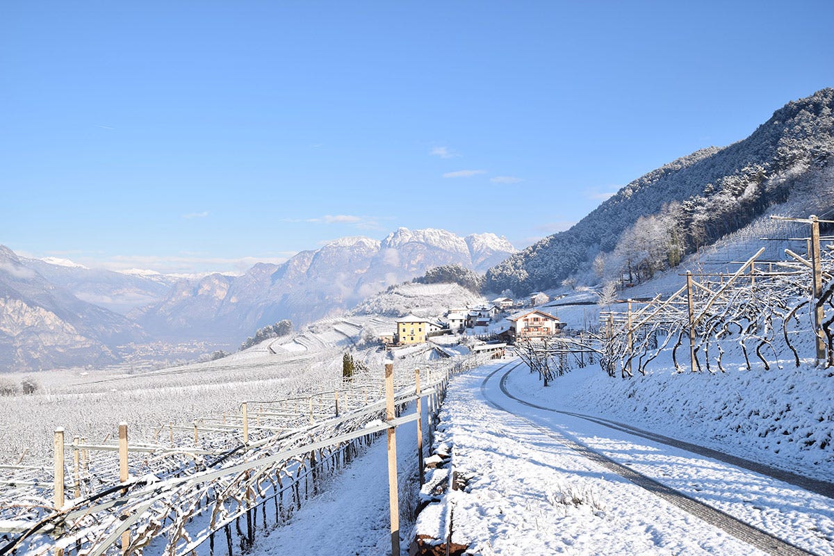Foto: Istituto Trento Doc In Trentino aspettando il Natale con le bollicine di montagna