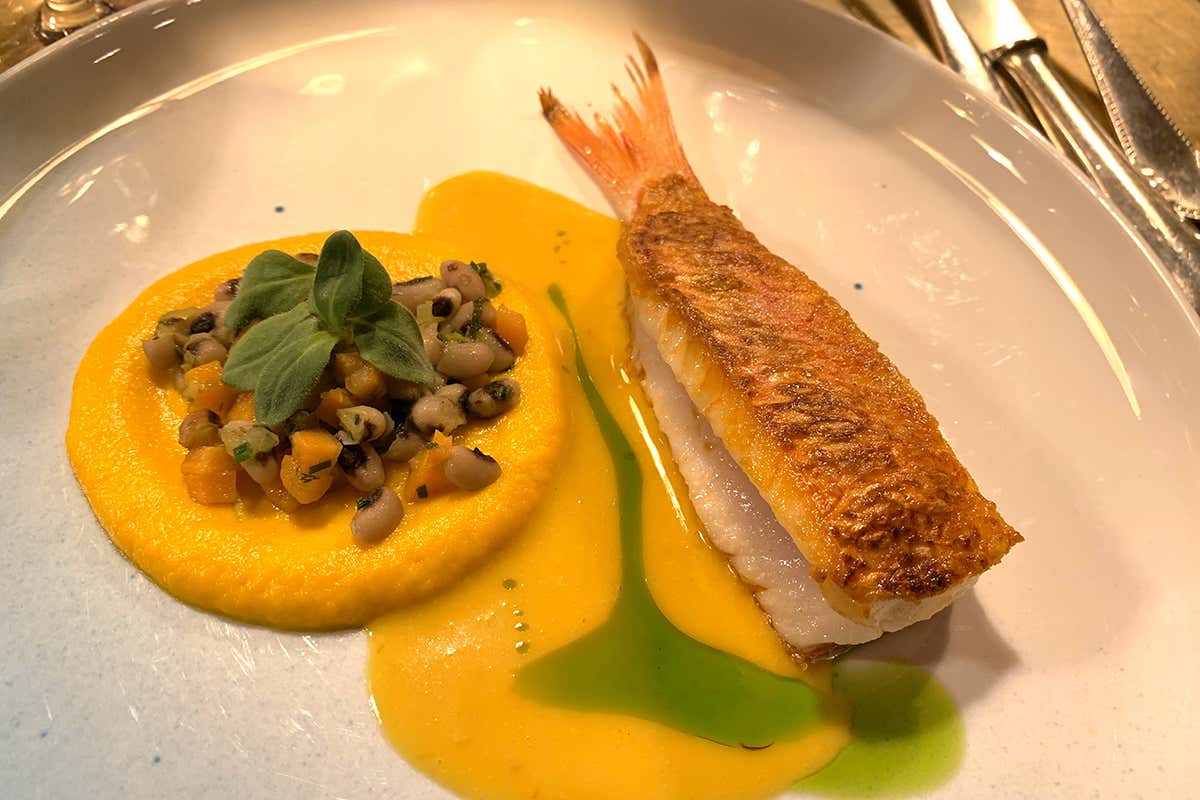 Triglia, purè di carote, fagioli di Feneou, salsa all'arancia, zafferano La Grecia della tradizione va oltre i luoghi comuni e vola alto