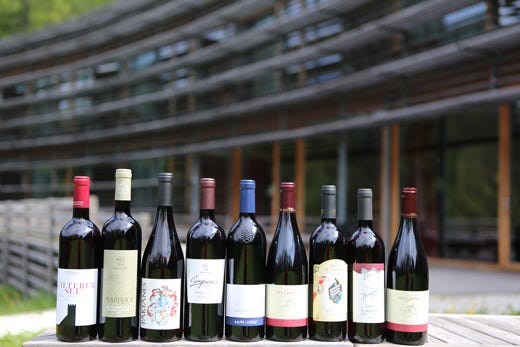 L'11ª edizione del Trofeo Schiava 
premia 9 vini eccellenti dell'Alto Adige
