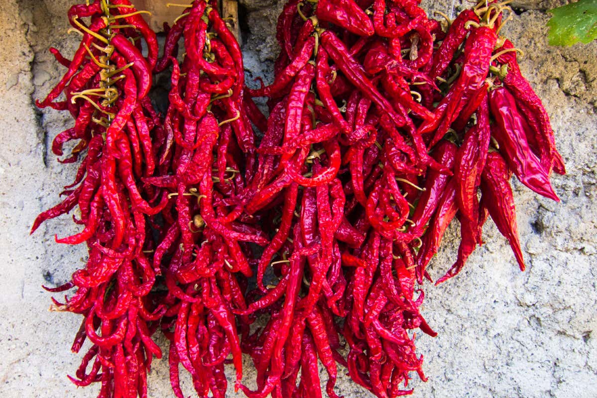Tante sagre per i prodotti tipici Tropea, la piccola Atene di Calabria