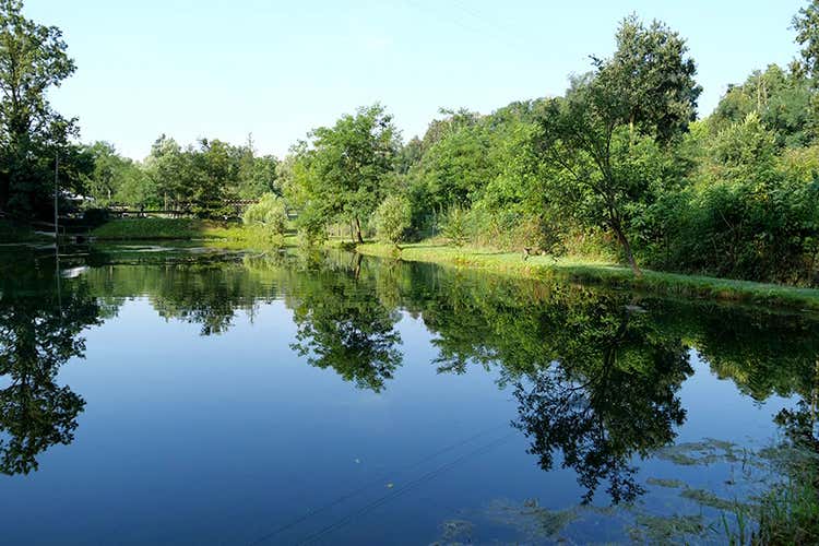 Uno scorcio dell'allevamento - Le trote di Lorenza e Andrea Filetti affumicati, ricetta top secret