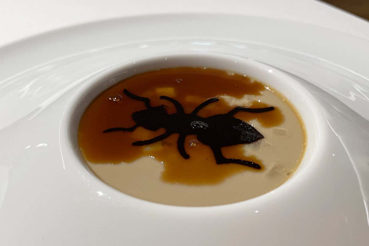 Tuberi di stagione Grand Hotel Royal e Golf, dove la stella di Griffa illumina Courmayeur