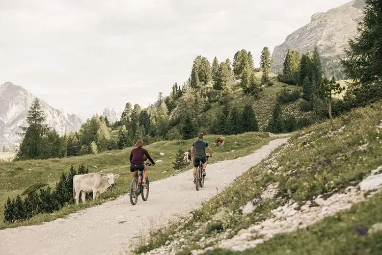 Bike-tour ecosostenibili in Alto Adige