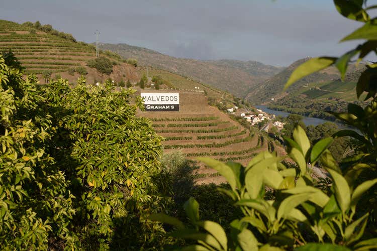 Tutto il fascino del Douro Bianco e rosso portoghese in ascesa Tutto il fascino del Douro Bianco e rosso portoghese in ascesa