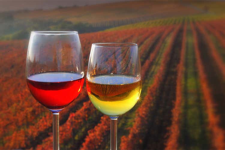 Tutto pronto per il Festival delle Malvasie 110 vini in degustazione, ospite la Puglia Tutto pronto per il Festival delle Malvasie 110 vini in degustazione, ospite la Puglia