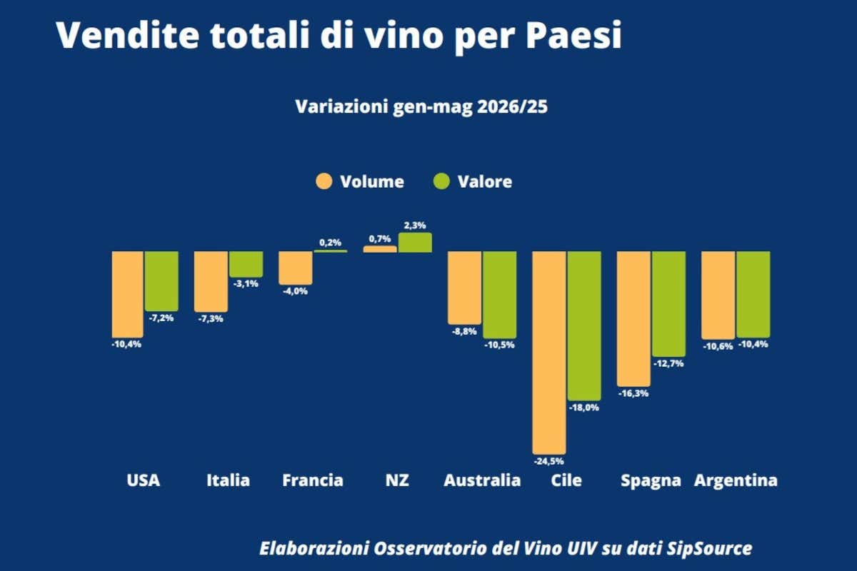 Export del vino italiano ancora in calo, primo segnale positivo dagli Usa Export del vino italiano ancora in calo, primo segnale positivo dagli Usa