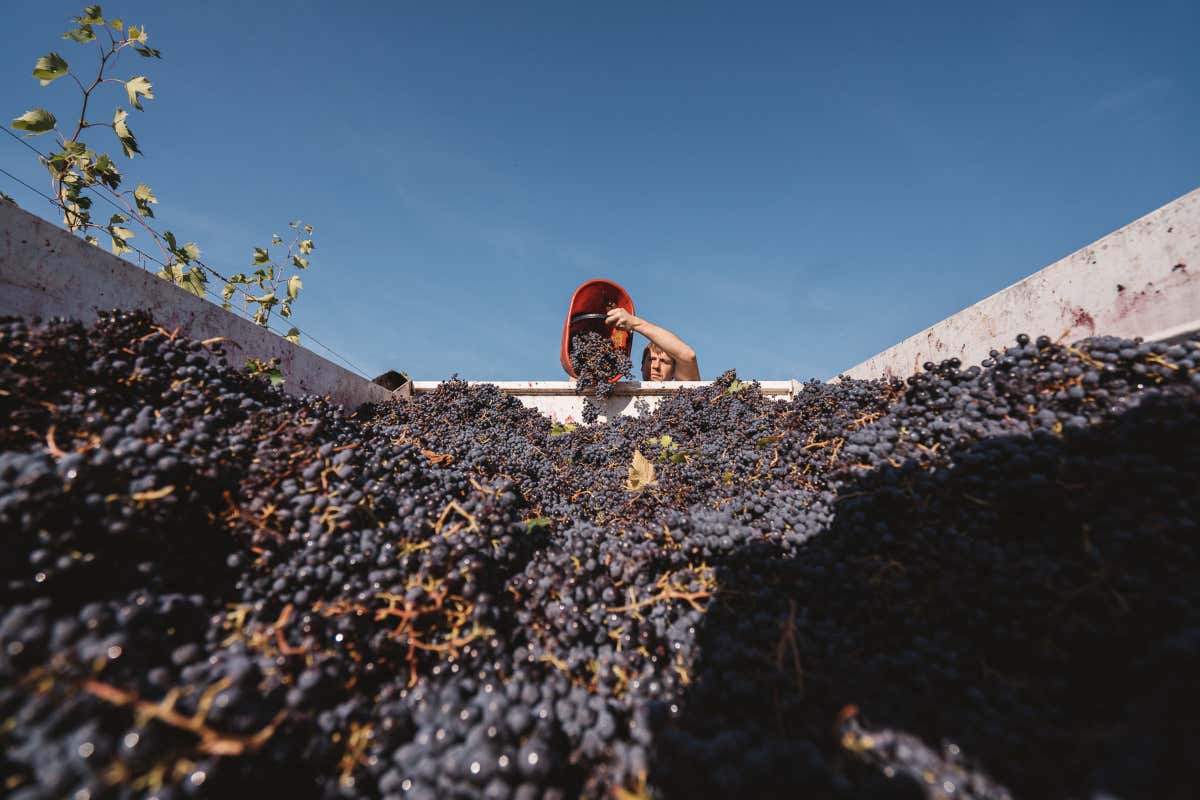 Tre cantine toscane a confronto nella Capitale
