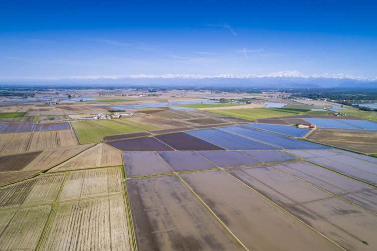 (Ue: «Risicoltori italiani danneggiati» Dazi per riso da Birmania e Cambogia?) (Ue: «Risicoltori italiani danneggiati» Dazi per riso da Birmania e Cambogia?)