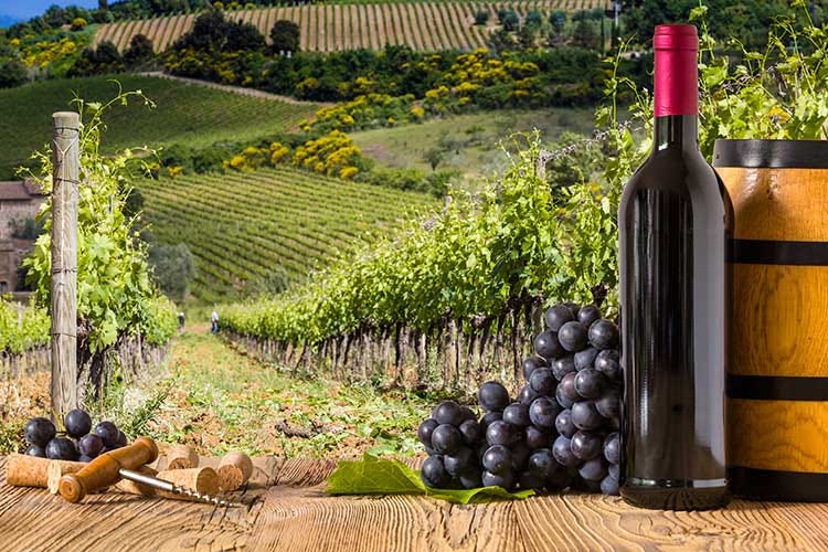 (L'Ue verso un generico proibizionismo L'Italia si mobilita e tutela il suo vino)