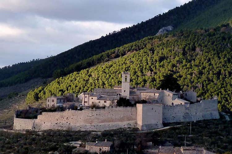 L'Umbria, una regione legata indissolubilmente con la coltivazione dell'ulivo