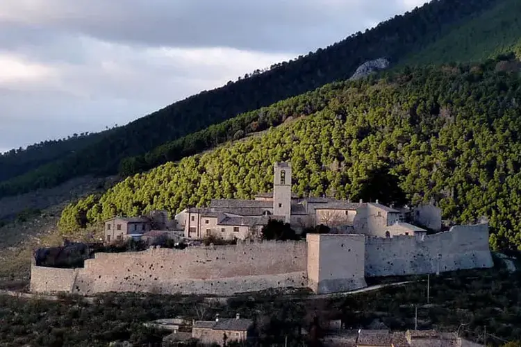 L'Umbria, una regione legata indissolubilmente con la coltivazione dell'ulivo