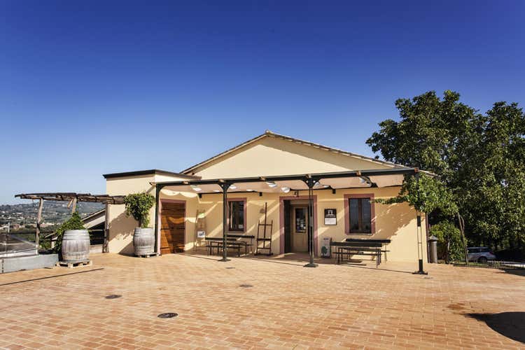 (L&rsquo;Umbria si scopre coi sapori di Antonelli A Montefalco vino ed olio da gustare)