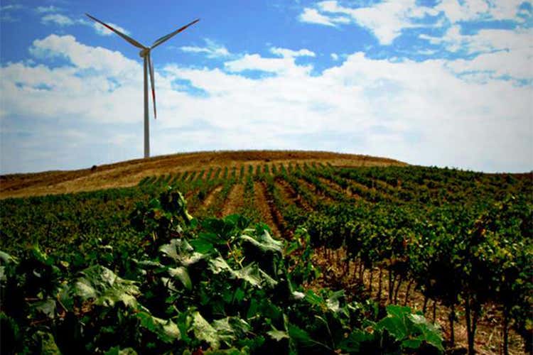 Un 2016 costellato di riconoscimenti per i vini di Cantine Di Legami