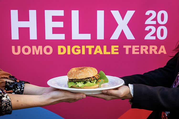 Il ChioccioBurger - Una chioccola pu&ograve; salvarci L&rsquo;elicicoltura modello di sviluppo