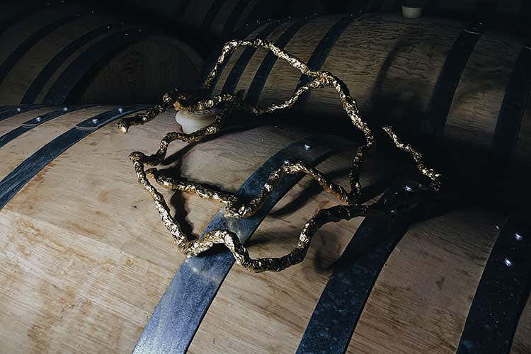 Vino e arte guardano avanti  Una mostra con Le Donne del Vino