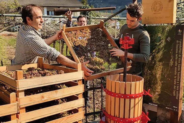 Graziano Poli e il rito della torchiatura Tour in Valle dei Laghi, quando il vino si fa... santo