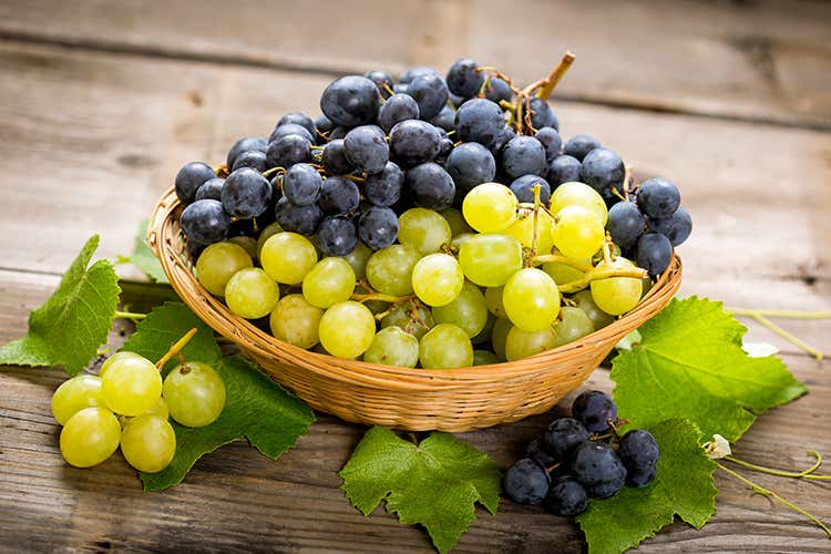 Le uve da tavola egiziane sul mercato creano una concorrenza sleale ai nostri prodotti 