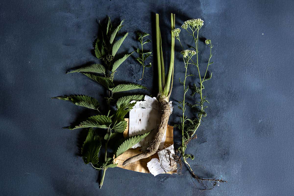 Feral: le bevande italiane che ricreano l’esperienza del vino, ma senza alcol