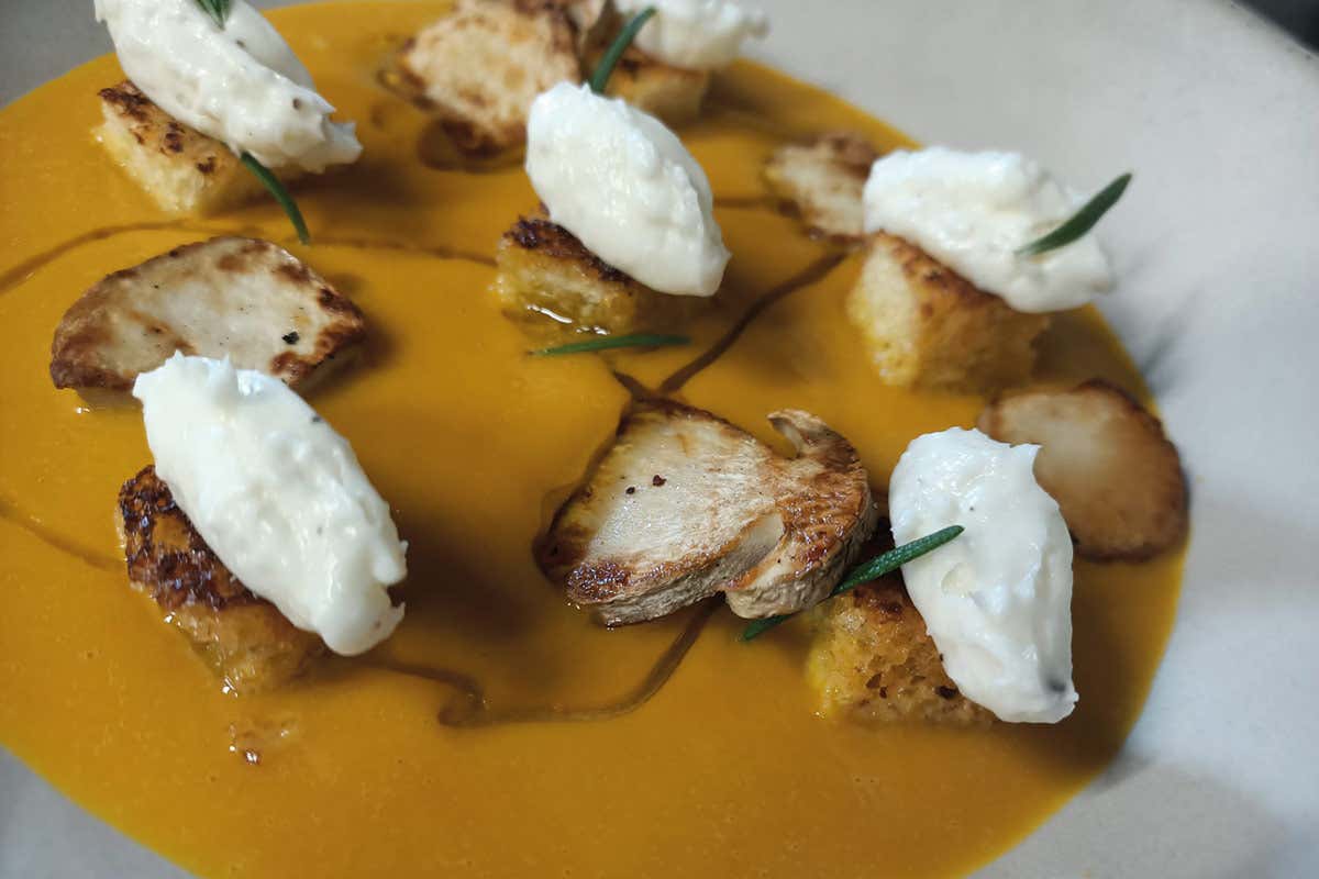 Vellutata di zucca, porcini arrosto, pan brioches al rosmarino e Casatella Trevigiana DOP Matteo Cibin 
