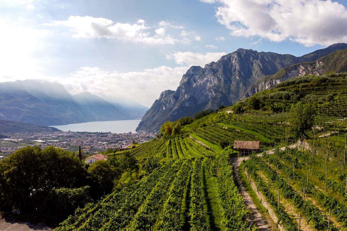 DiVin ottobre, in Trentino l'autunno si tinge di gusto
