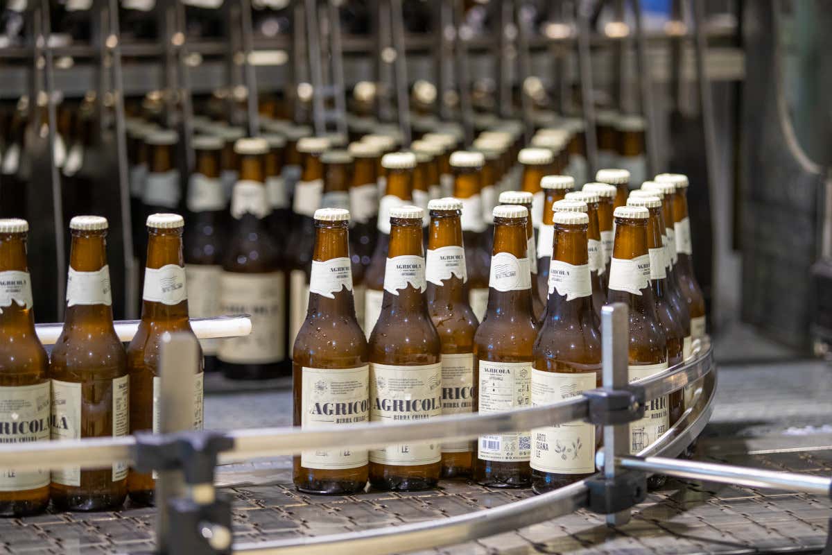 Come nasce una birra agricola in Puglia: la filiera che porta il Salento nel bicchiere