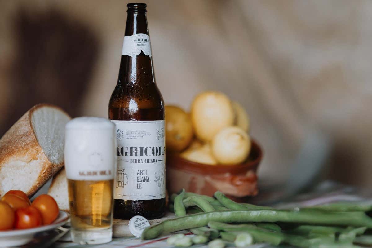Come nasce una birra agricola in Puglia: la filiera che porta il Salento nel bicchiere