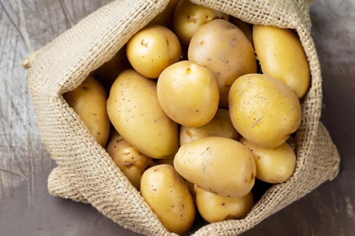 Giornata internazionale della patata: il tubero che unisce arte, poesia e cucina Giornata internazionale della patata: il tubero che unisce arte, poesia e cucina