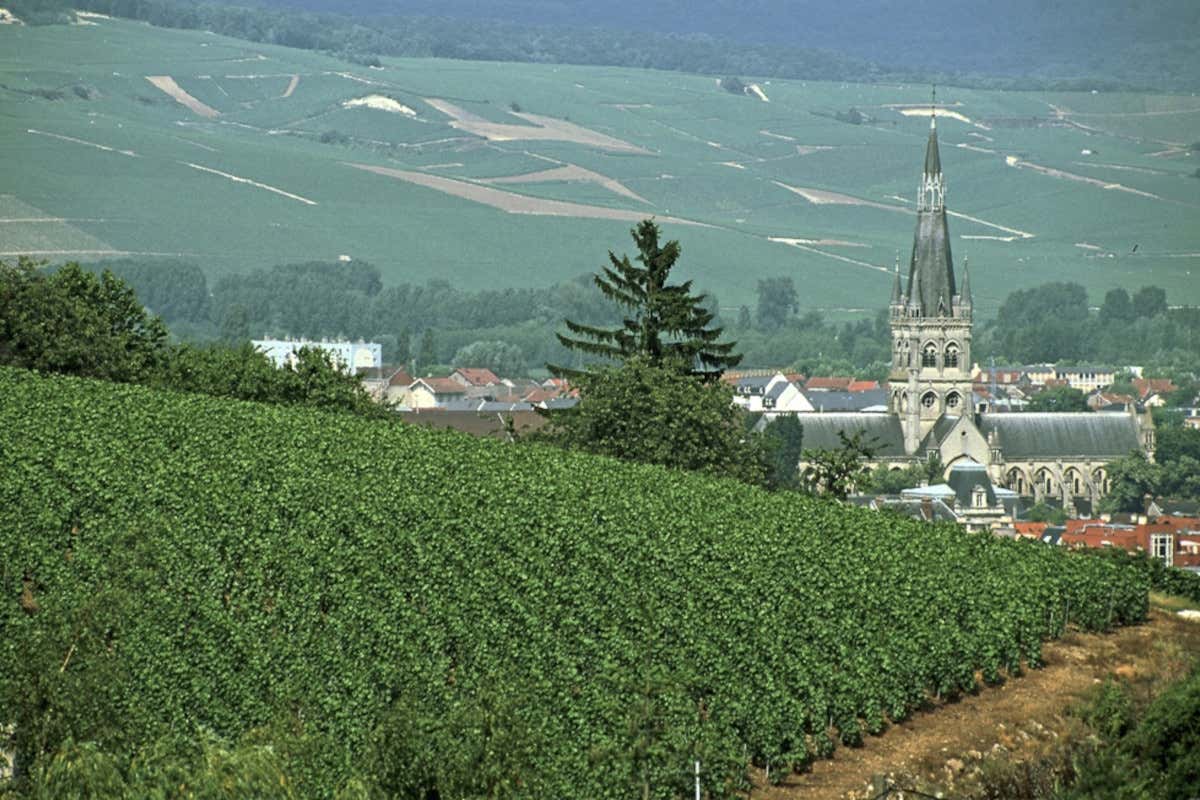 Nella Champagne convivono grandi Maison e piccoli vigneron