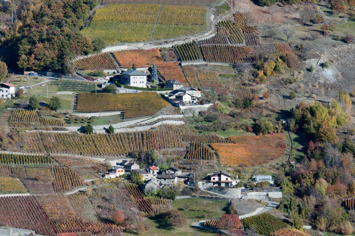 Vini di confine tra Italia e Francia: l’identità nascosta della Valle d’Aosta Vini di confine tra Italia e Francia: l’identità nascosta della Valle d’Aosta