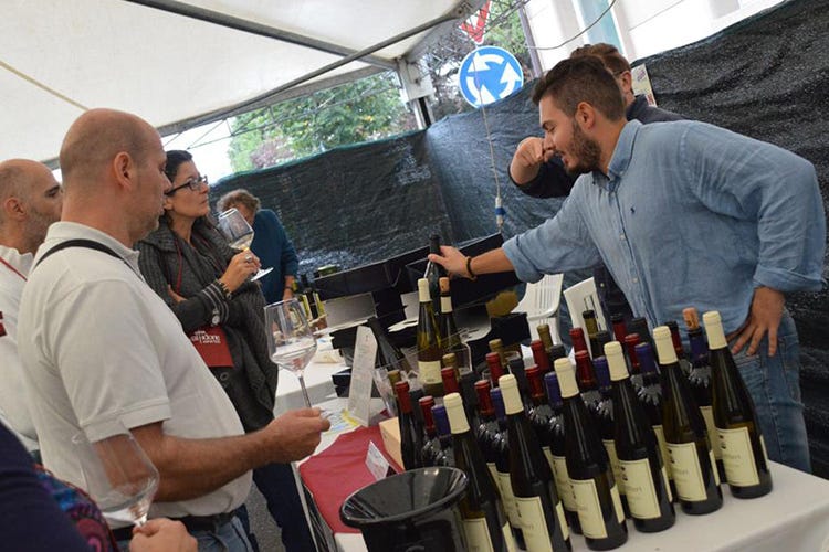 Successo in costante crescita (Val Tidone Wine Fest Successo che aiuta il territorio)