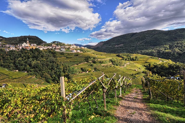 Val di Cembra, il territorio si riflette nella bontà dei vini