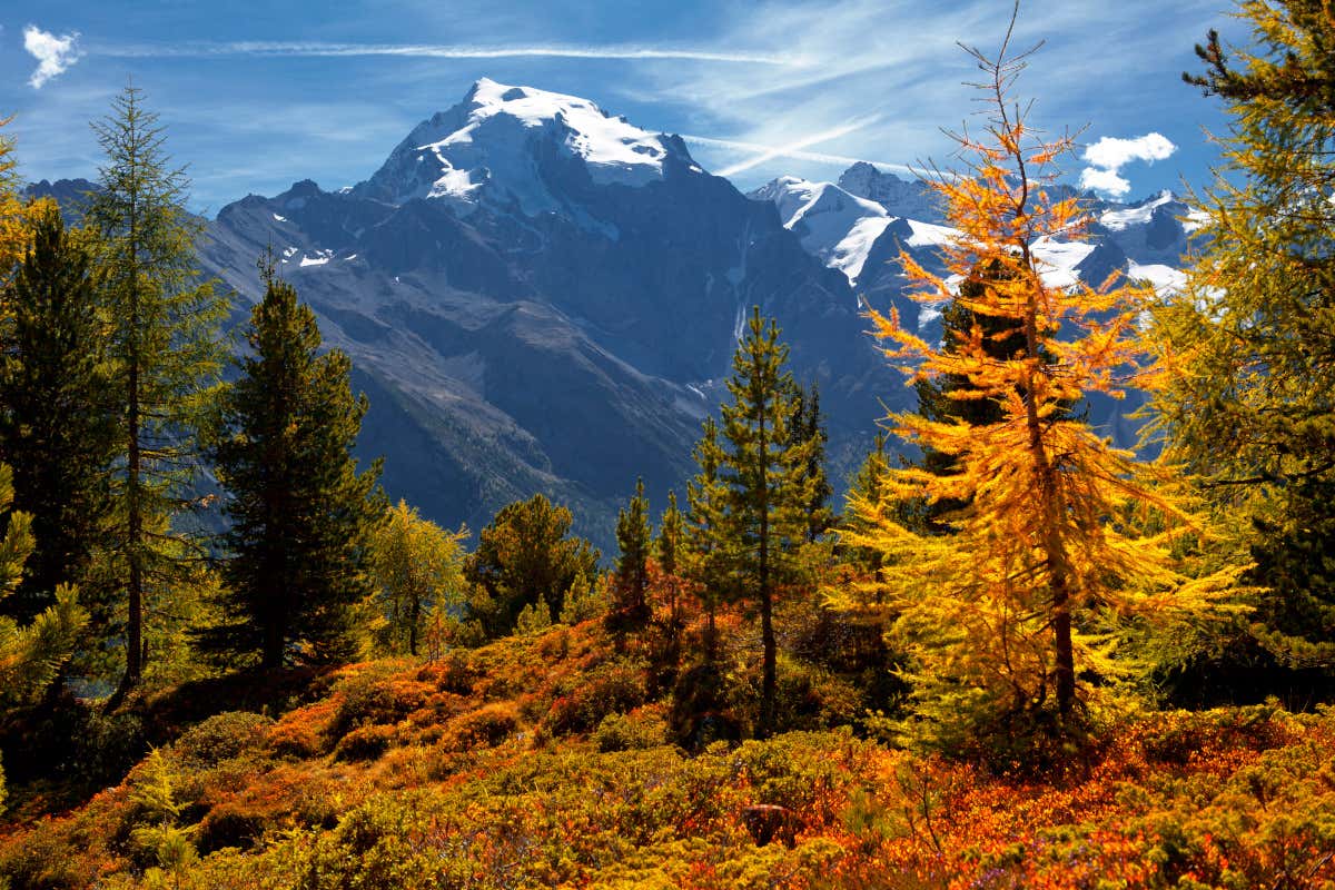 L’autunno in Val Venosta: tra arrampicate e relax per tutte le età

