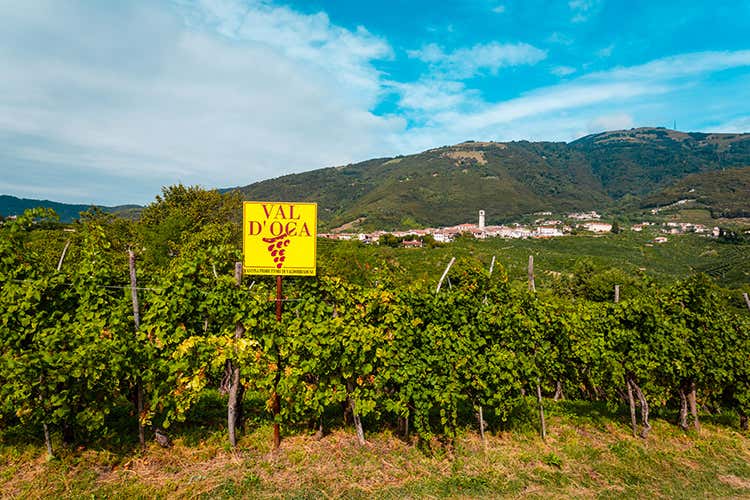 Certificazione Viva per Cantina Valdobbiadene