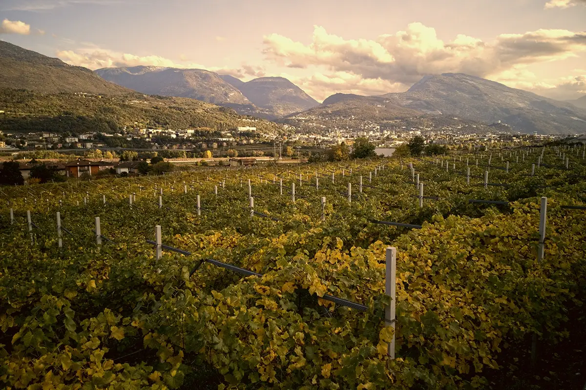 Vallagarina 