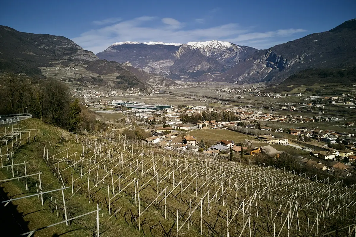 Vallagarina Sei tappe wine