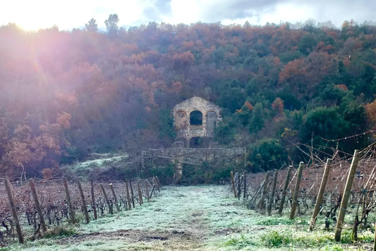 I vigneti Valle Reale, l&rsquo;eleganza dell&rsquo;Abruzzo
