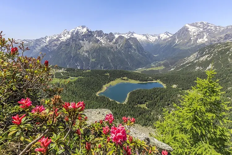 Valmalenco, Monte Roggione, vista del Lago Pal&ugrave; Un itinerario, un paninoLa guida golosa della Valtellina