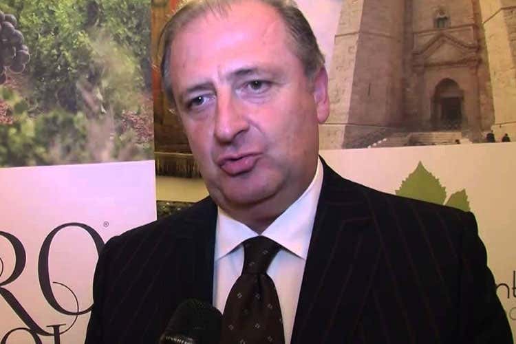 Francesco Liantonio (Valoritalia, il bilancio 2018 1,5 miliardi di bottiglie certificate) Francesco Liantonio (Valoritalia, il bilancio 2018 1,5 miliardi di bottiglie certificate)