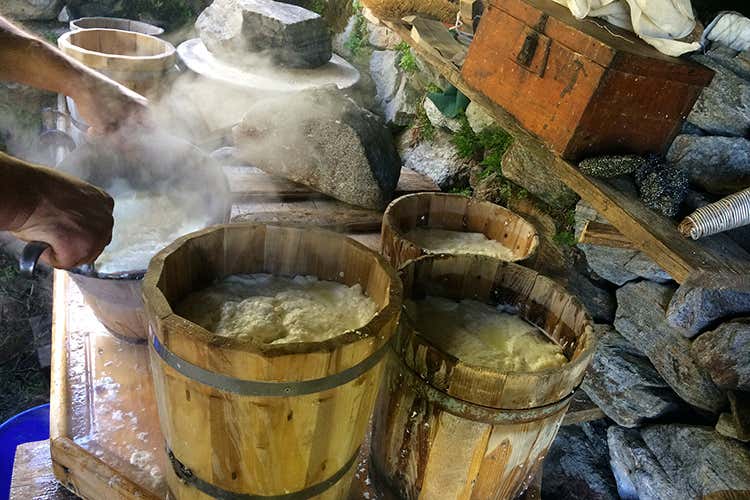 Pranzi in rifugio e serate di degustazione di polenta taragna, caprino e vino (Valsassina, la valle dei formaggi Degustazioni e percorsi a tema)