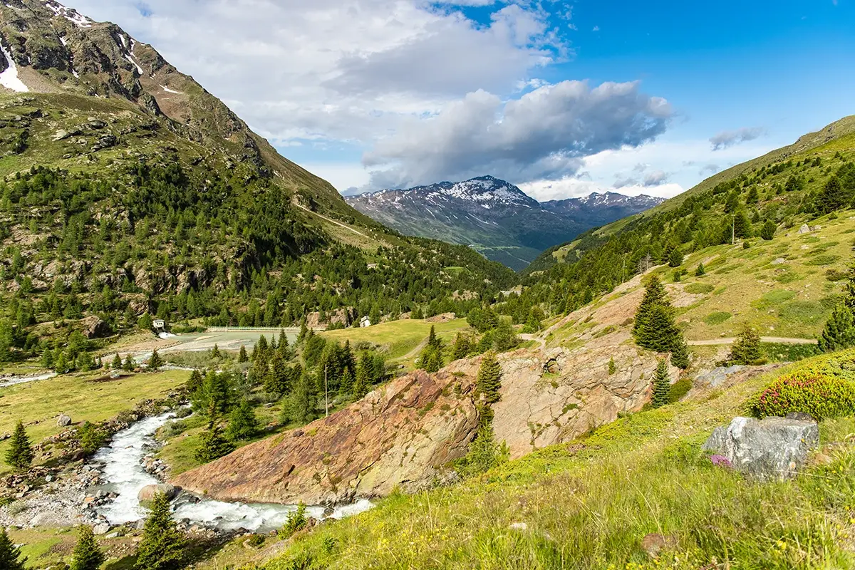 Alla scoperta della Valtellina più golosa Assaggiando il Bitto: 7 tappe tra i borghi e sapori della Valtellina