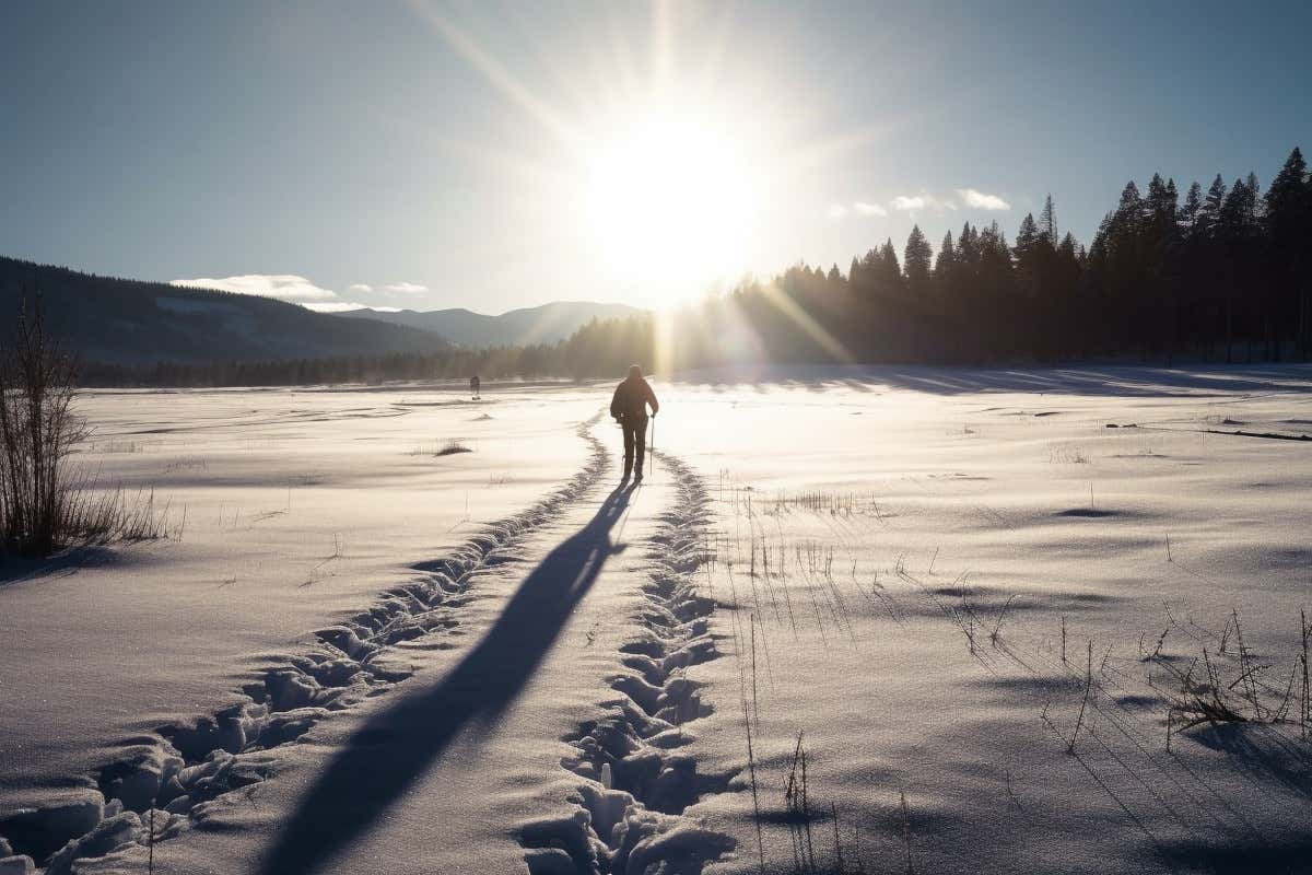 Inverno in Valtellina: esperienze da non perdere tra monti, alpeggi e bitto